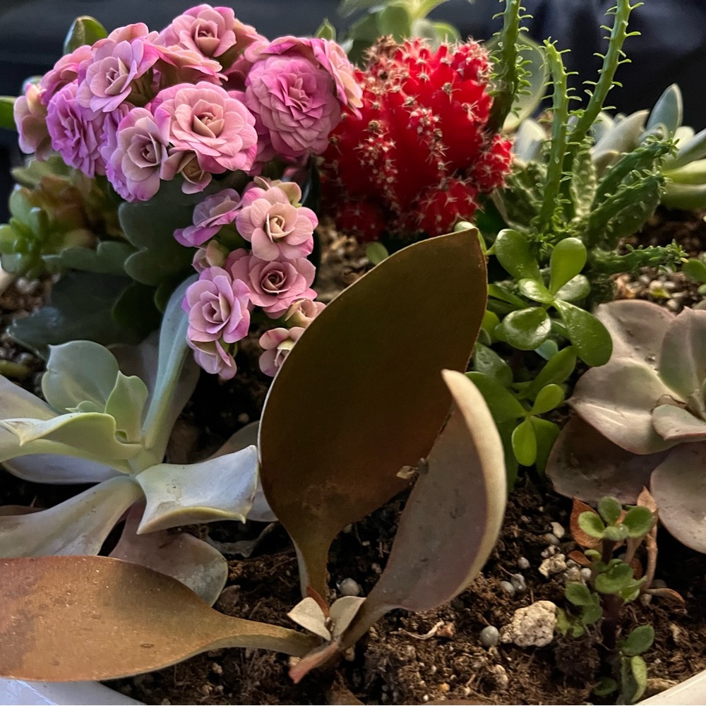 Meet your Posher, Qjay!